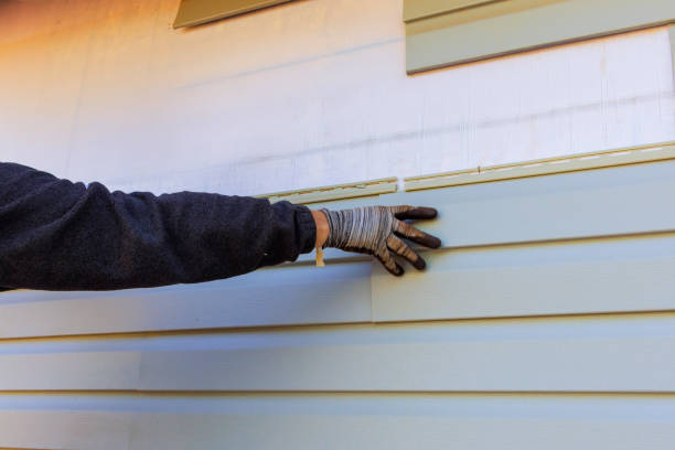 Best Custom Trim and Detailing for Siding  in Pine Bush, NY